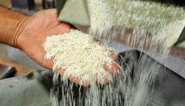 افزایش ۱۰ تا ۲۰ درصدی نرخ برنج خارجی/ واردات برنج تایلندی ممنوع شد افزایش ۱۰ تا ۲۰ درصدی نرخ برنج خارجی/ واردات برنج تایلندی ممنوع شد